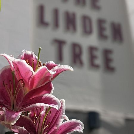 Linden Tree Bed & Breakfast Gloucester Bagian luar foto