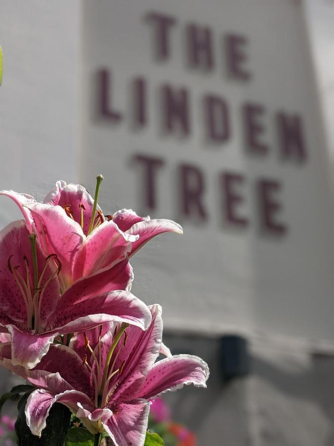 Linden Tree Bed & Breakfast Gloucester Bagian luar foto